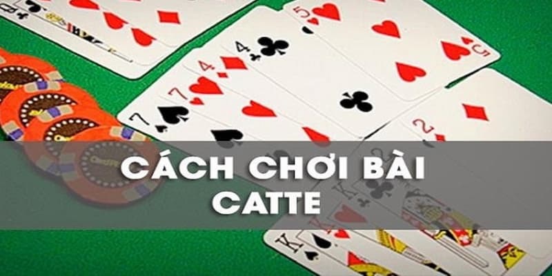 bai-catte-iwin68-giai-tri-vo-tan-tu-game-dinh-cao-68465f6169119.jpg