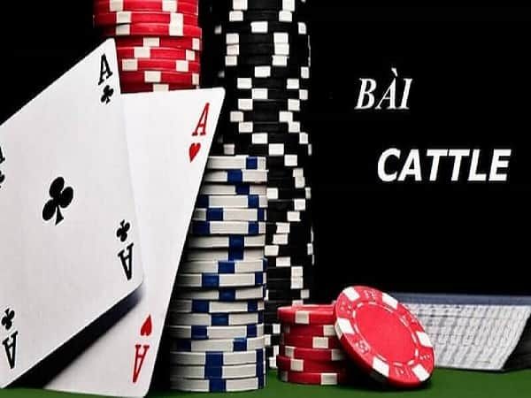 Cách nhớ bài catte giúp cao thủ giành chiến thắng