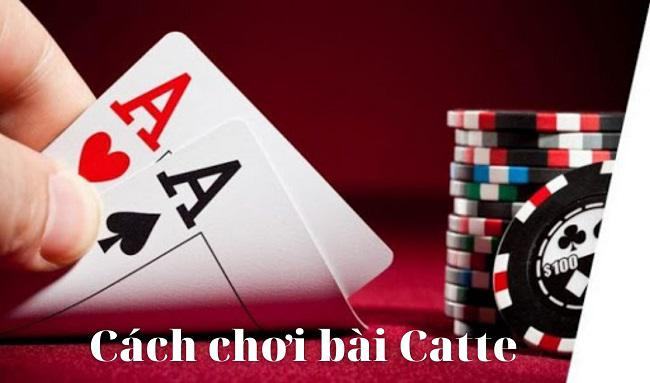 Cách Chơi Bài Catte Chi Tiết Và Hiệu Quả Cho Người Mới Bắt Đầu