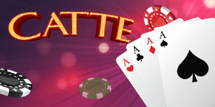 Khám Phá Chi Tiết Luật Chơi Bài Catte Dành Cho Người Mới Bắt Đầu