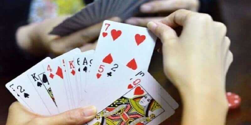 Bài Tấn Là Gì? Thông Tin Cơ Bản Và Kiến Thức Cần Biết