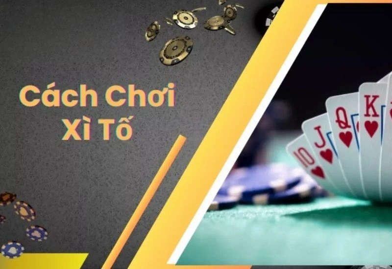 Luật Chơi Xì Tố Online Tại Iwin68: Quy Tắc và Chiến Thuật